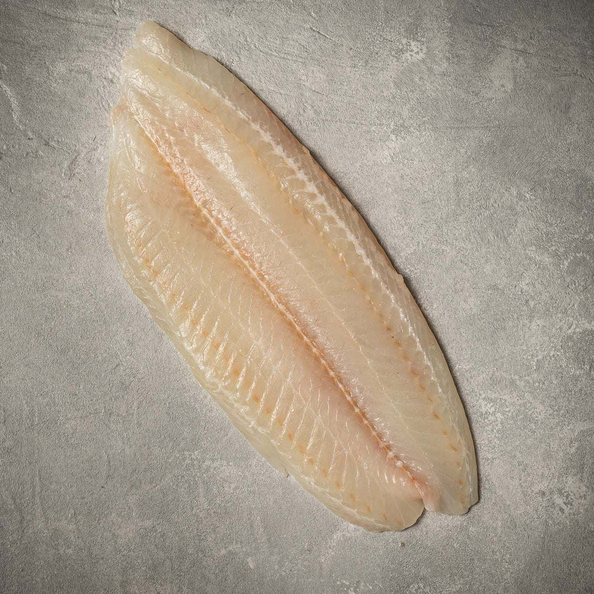 Flounder Fillet FishFinery
