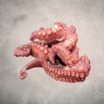 Cooked Octopus Tentacles