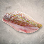 YELLOW TAIL SNAPPER