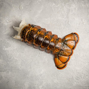 Main Lobster Tail by FishFinery
