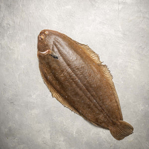 Dover Sole Whole Fish (Wild Caught) by FishFinery
