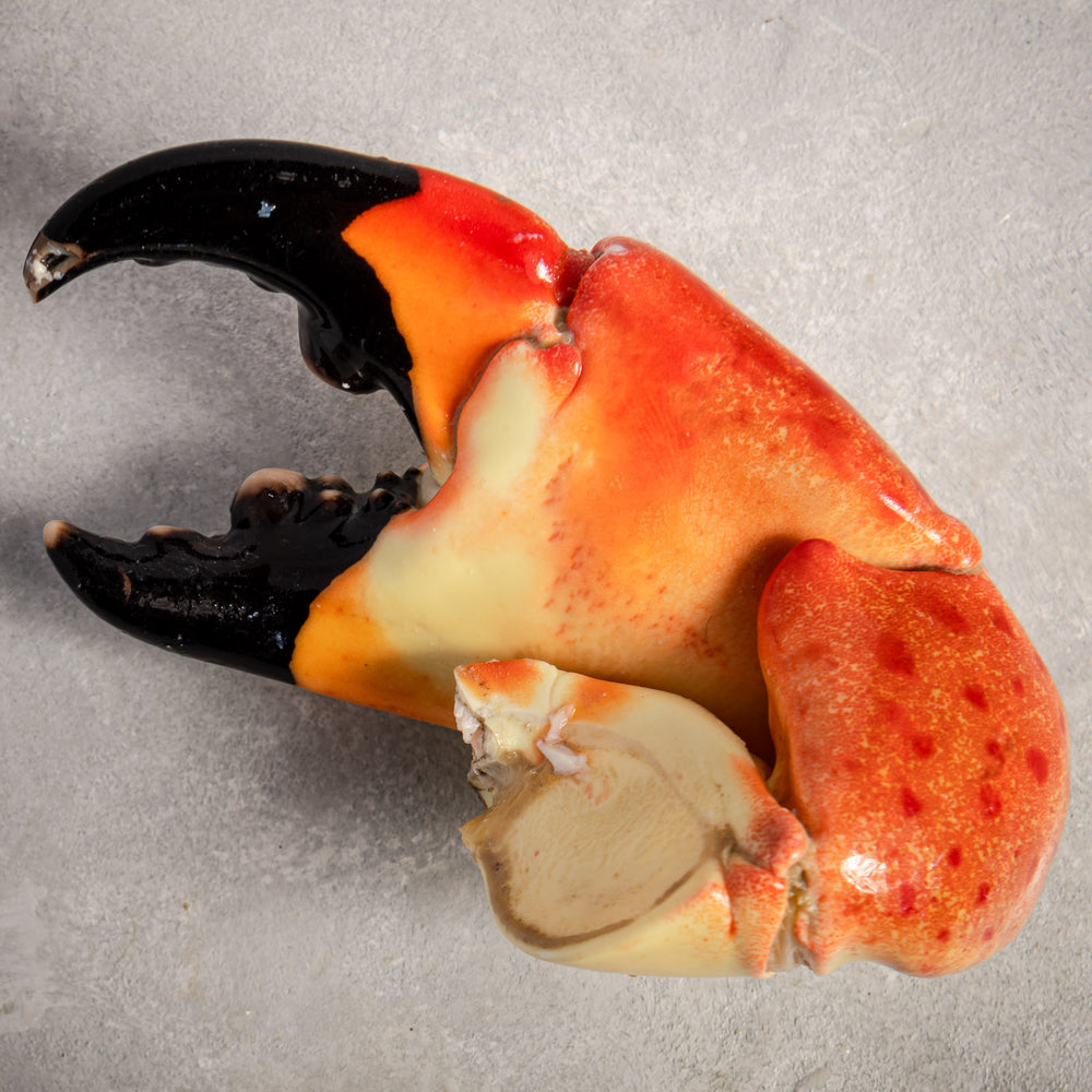 Stone Crab Claws Colossal