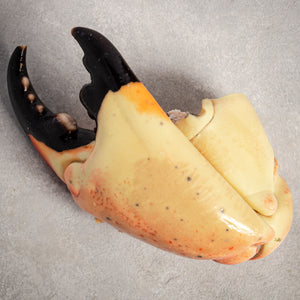 Stone Crab Claws Colossal By Fishfinery