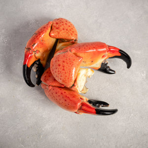 Stone Crab Claws Jumbo By Fishfinery