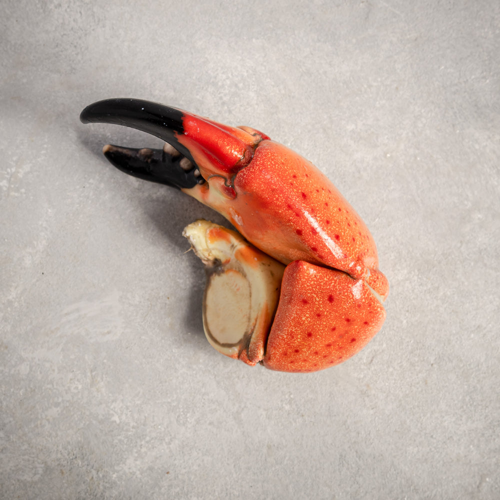 Stone Crab Claws Jumbo By Fishfinery