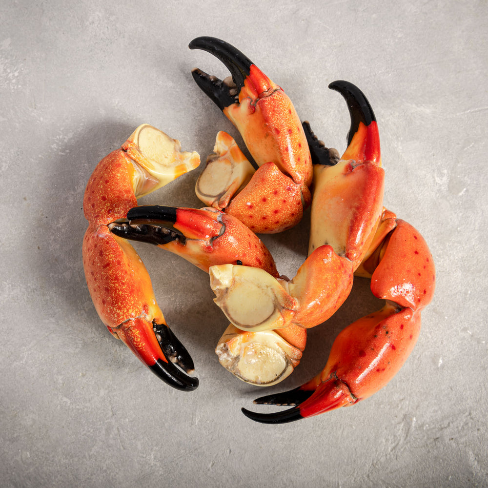 Stone Crab Claws Large
