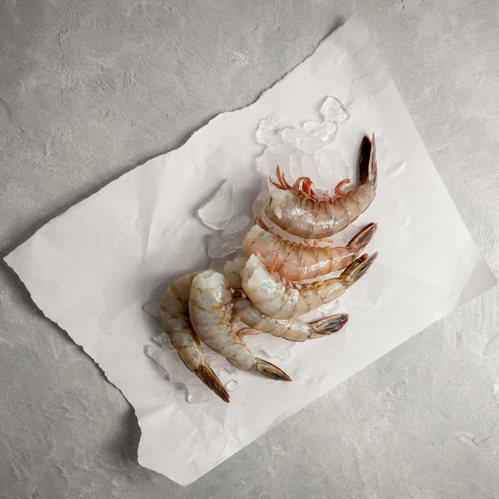 Mexican Blue Shrimp unwrapped on ice by FishFinery