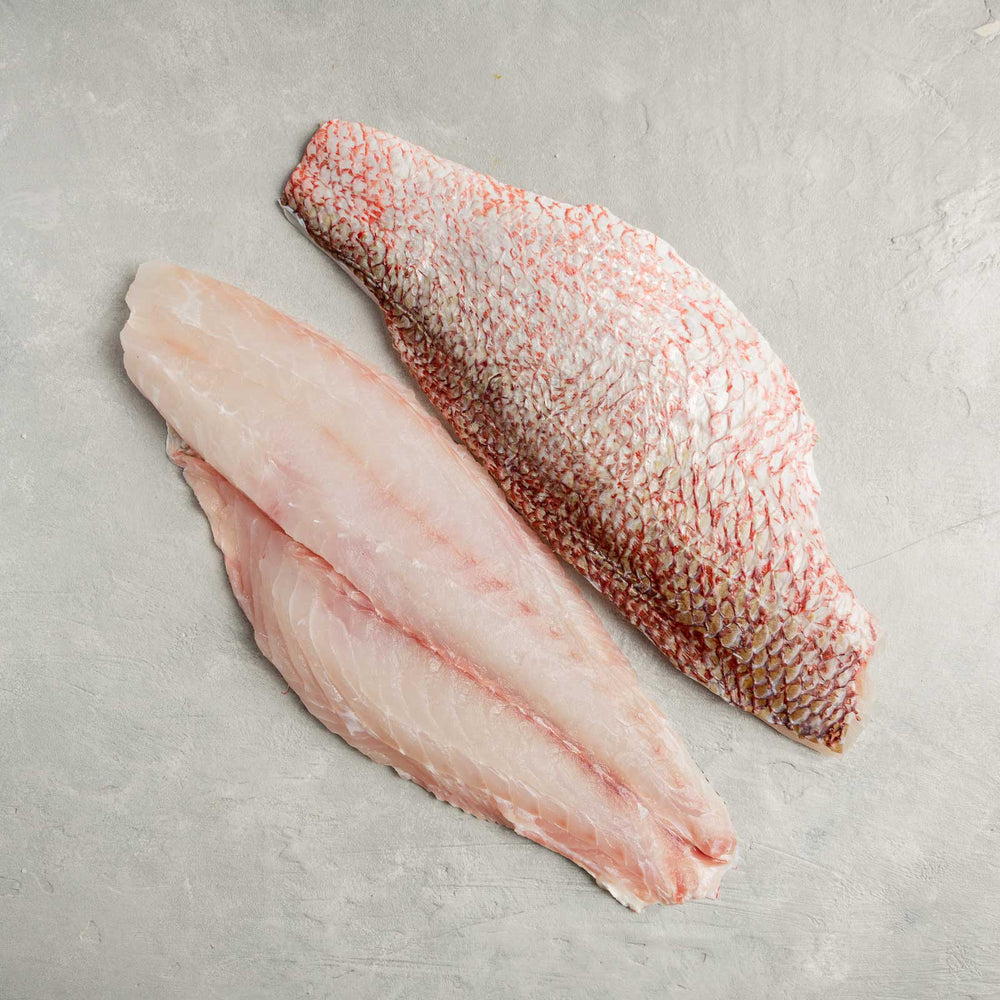 Red Snapper Fish Fillet